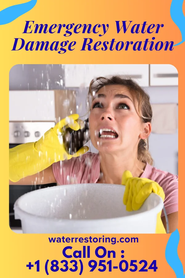 Emergency Water Damage Restoration in Nolic, AZ